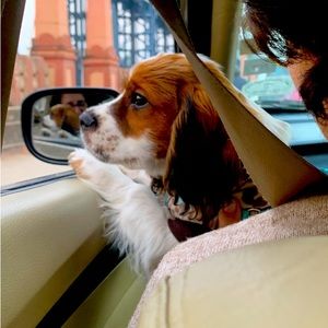 Meet your Posher, Aki